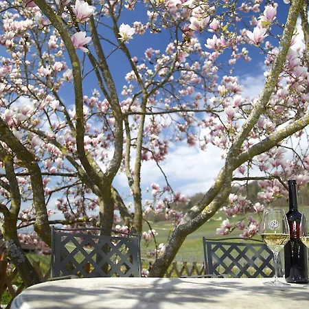 Bed & Breakfast Cave Beetschen Bursins