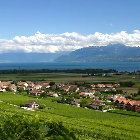 Cave Beetschen Bed & Breakfast 4*