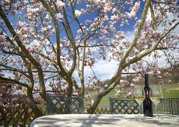 Nocleg ze śniadaniem Cave Beetschen Bursins